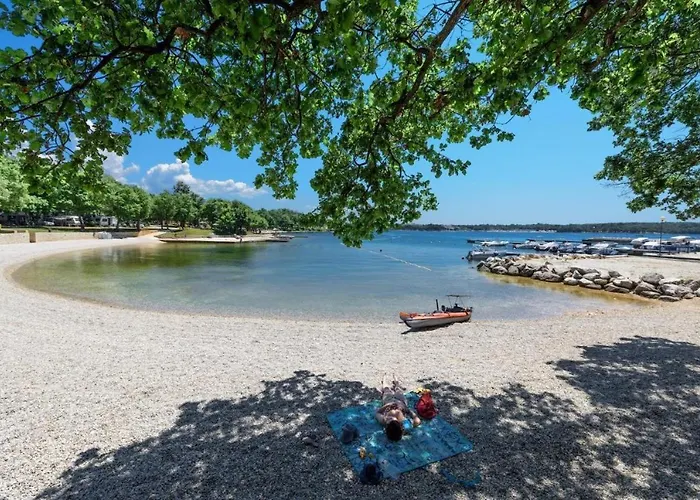 Edi Premium Grey Apartment Funtana